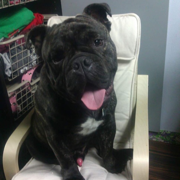 Meet your Posher, Michael - Picture 1 of 1